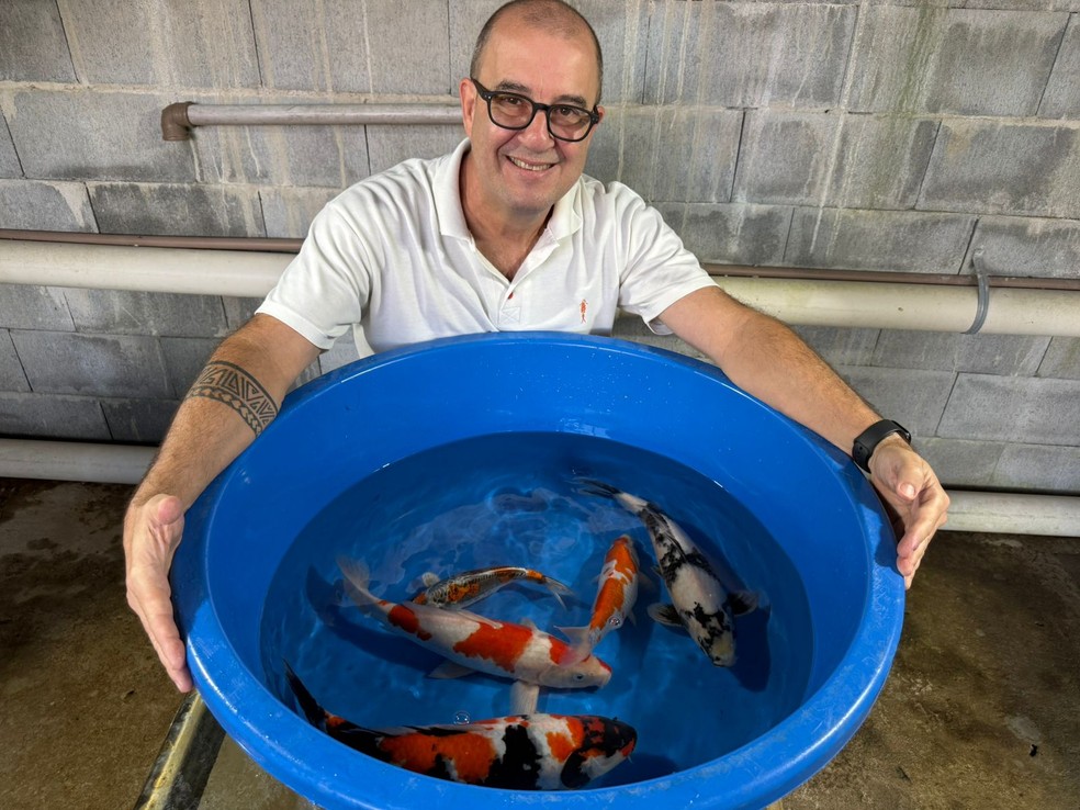 Marco Antônio Xavier começou a criar Nishikigois profissionalmente durante a pandemia — Foto: Arquivo pessoal