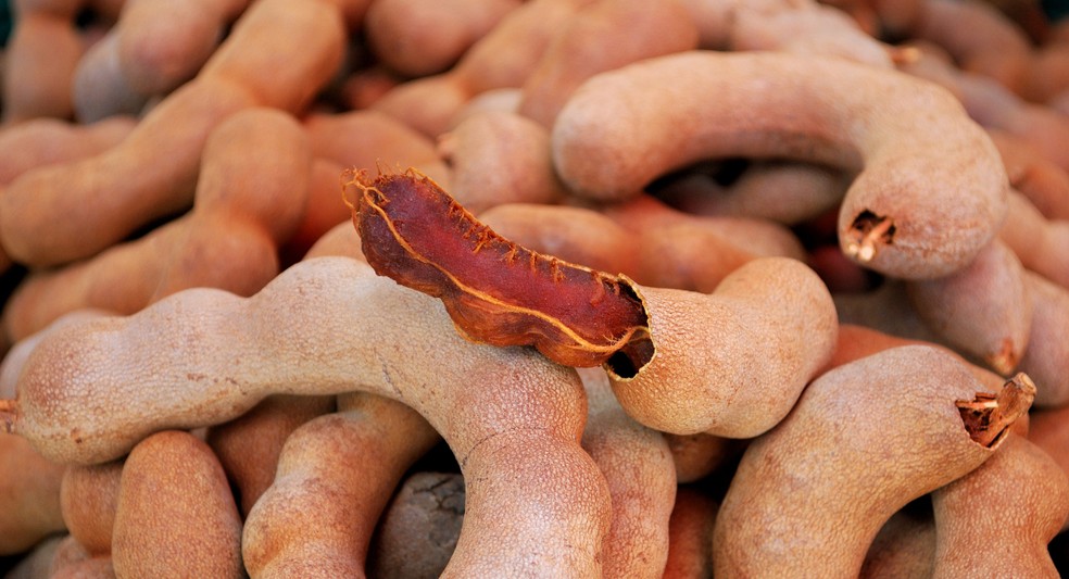 Tamarindo — Foto: Creative Commons