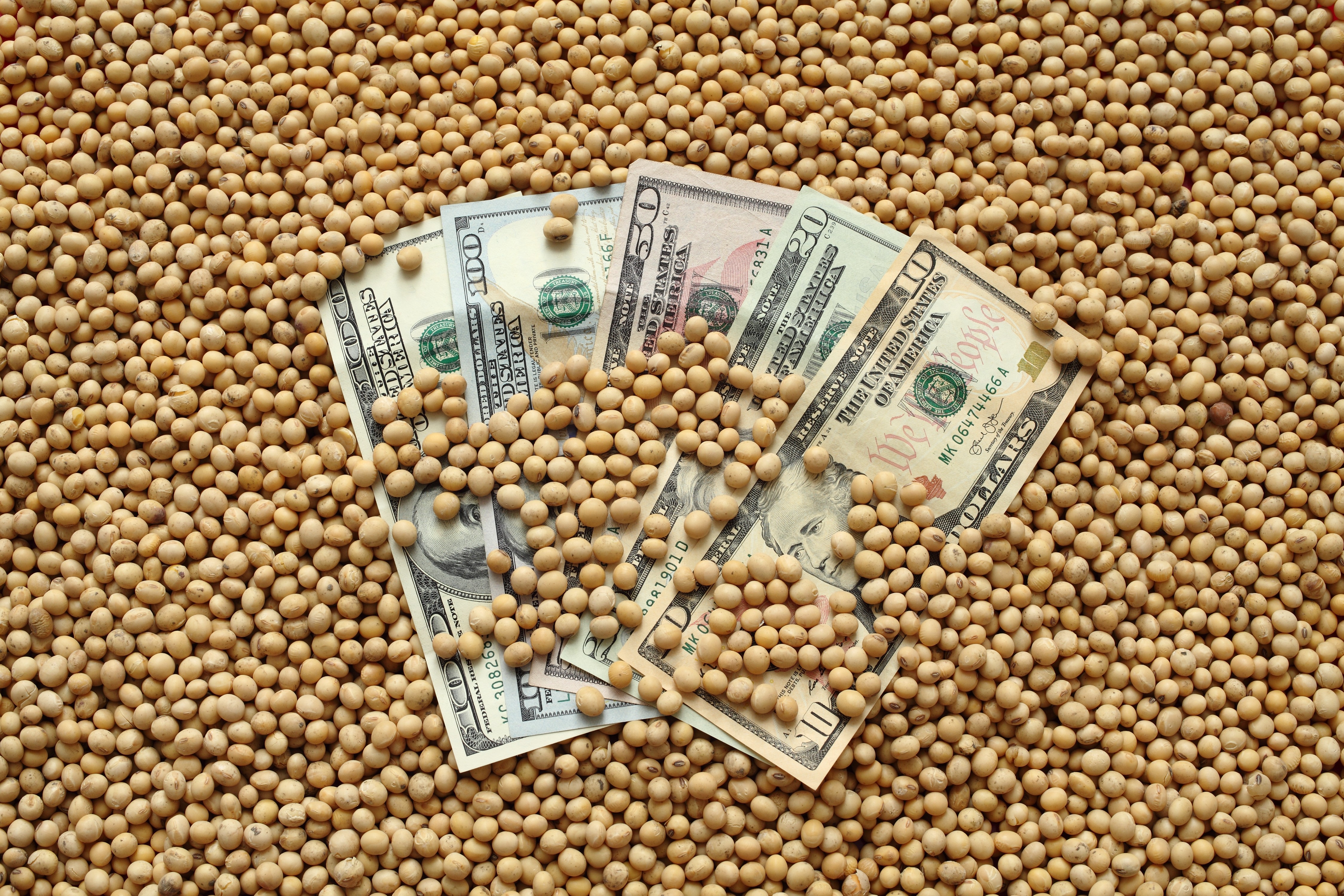 Grãos sobem levemente em Chicago, com esperança de acordo entre Trump e Xi Jinping