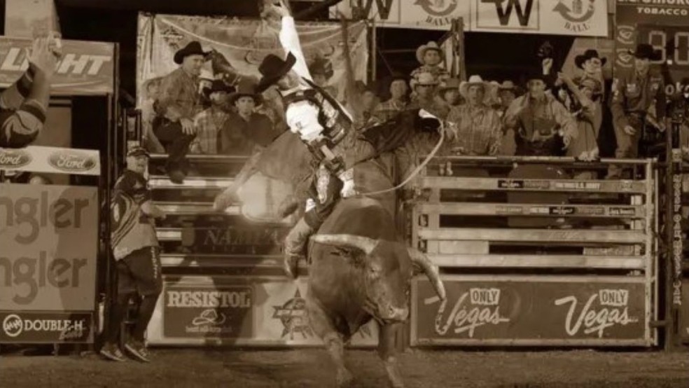 Little Yellow Jacket — Foto: Divulgação/PBR