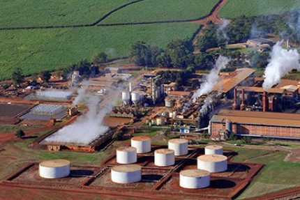 Jalles contrata R$ 200 milhões com BNDES para amenizar efeitos do tarifaço sobre açúcar orgânico