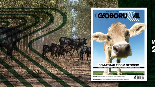 Bem-estar animal é destaque na Globo Rural de maio