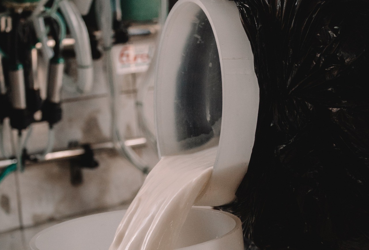 Preço do leite ao produtor deve subir 1,88% em janeiro no RS