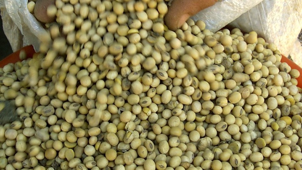 Se for constatada uma supressão vegetal não autorizada, processadoras de soja bloqueiam a originação do grão em toda a propriedade — Foto: Reuters