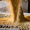 A CHS é a maior cooperativa da agrícola dos EUA - Divulgação/CHS
