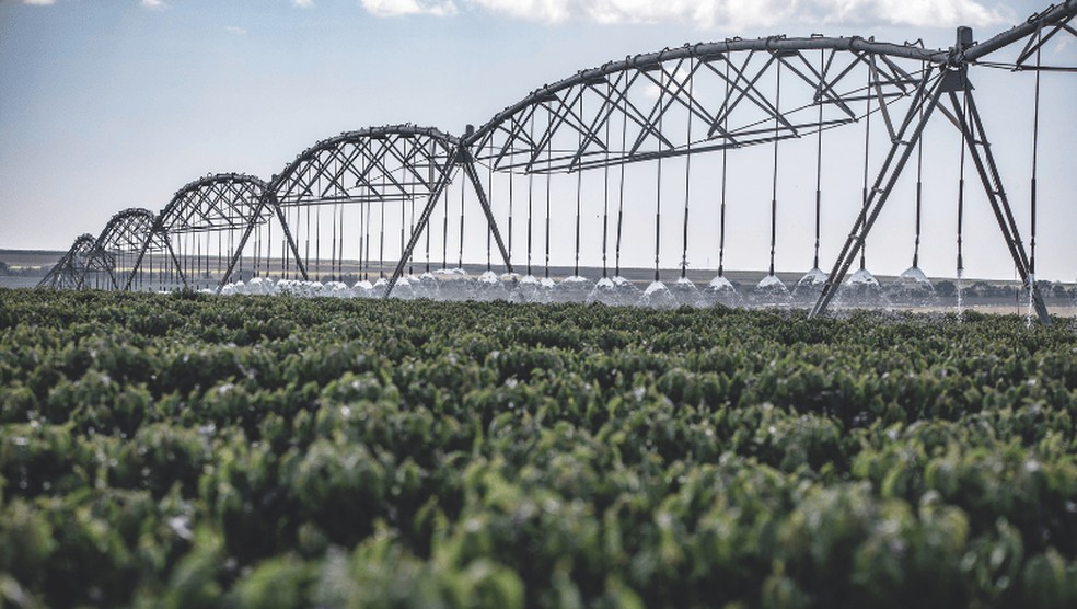 Sistema de irrigação em fazenda de produção de café em Minas Gerais: inovações elevam rendimento no campo — Foto: Getty Images