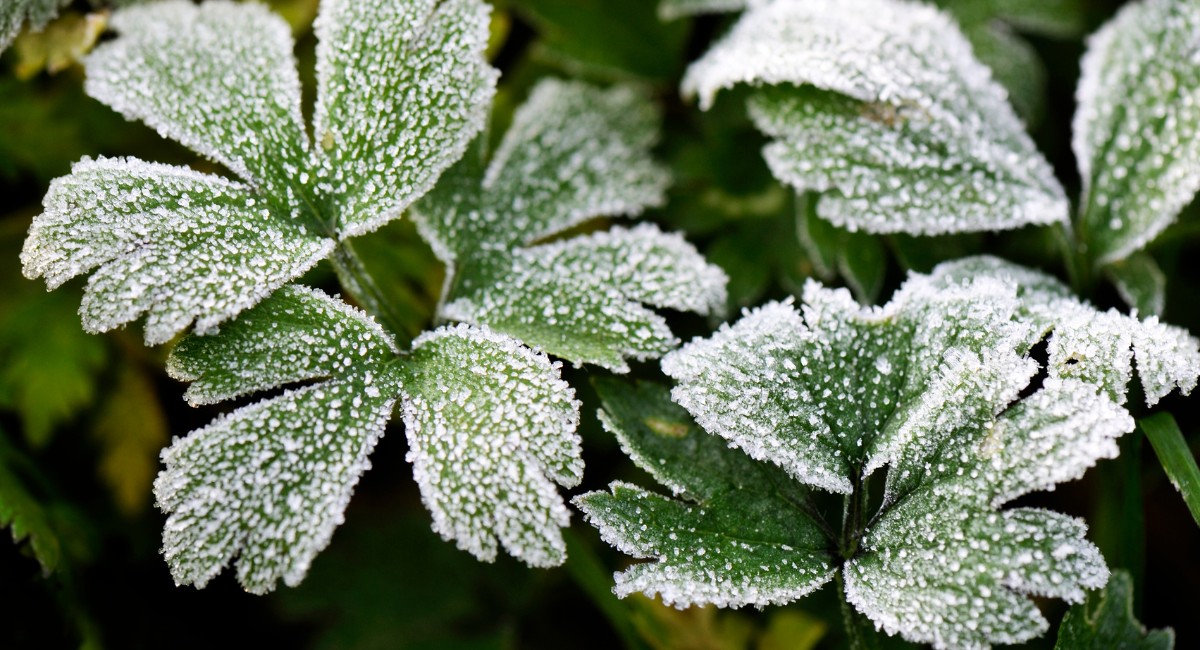 Frio intenso já tem data para acabar no Brasil; veja quando