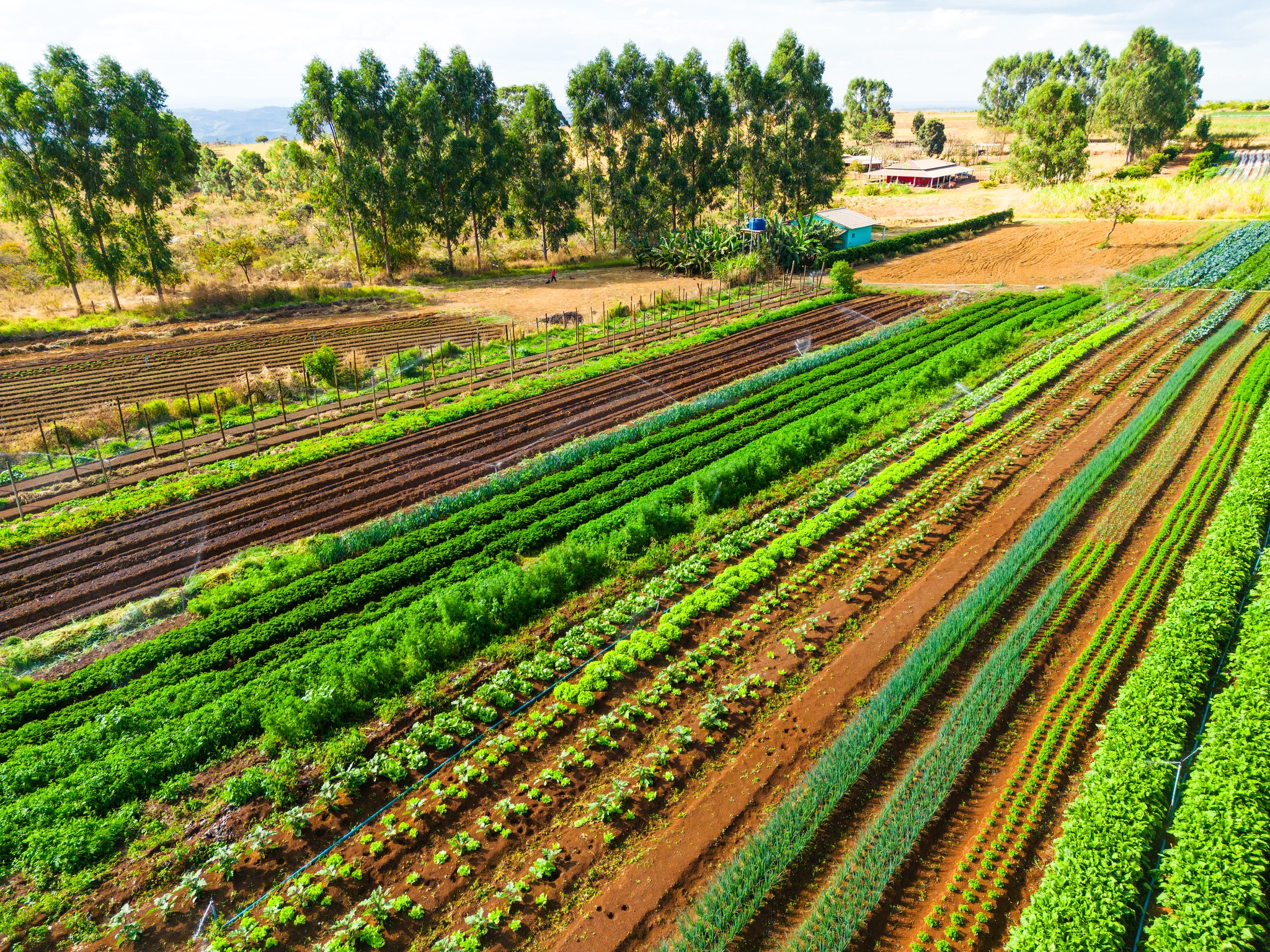 MDA tenta manter juros  do Pronaf em meio a aperto do Orçamento