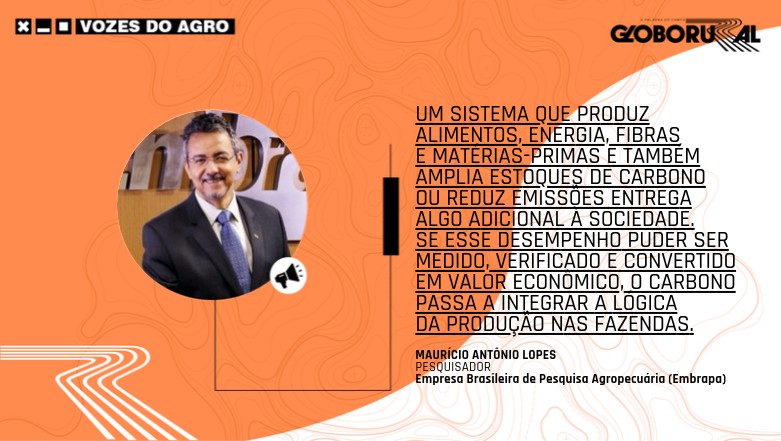 Carbono como ativo da agricultura