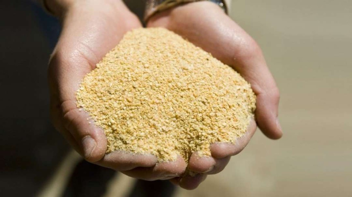 Exportação de farelo de soja deve crescer na Argentina e pressionar preços no Brasil