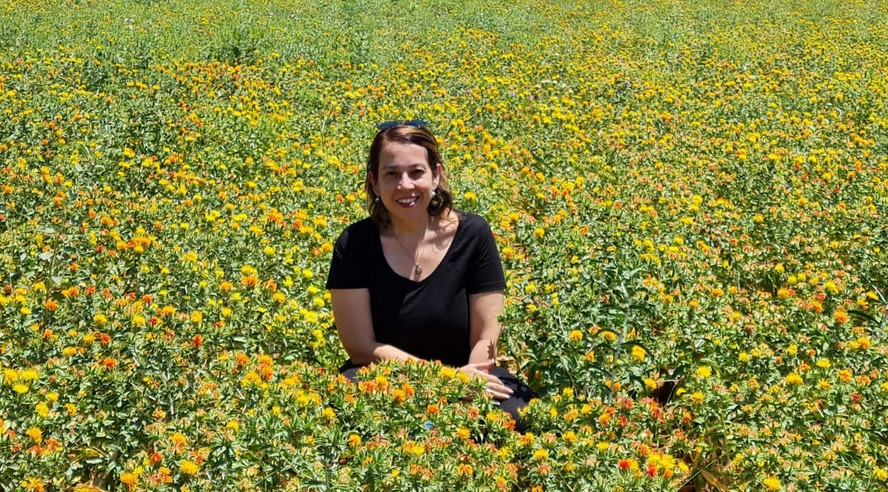Juliana Espada Lichston, professora do Departamento de Botânica e Zoologia da Universidade Federal do Rio Grande do Norte, estuda o potencial do cártamo para produção de biodiesel