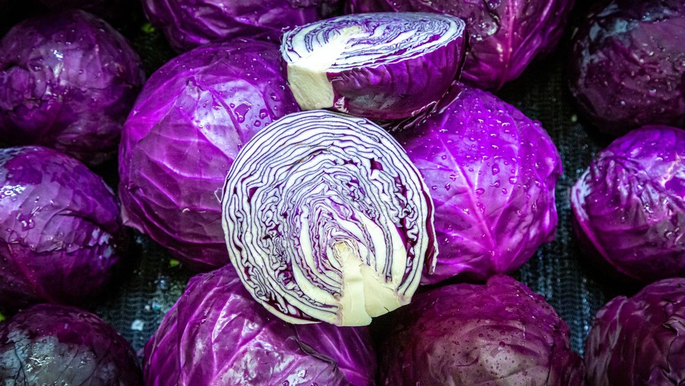 Repolho roxo — Foto: Canva/Creative Commons