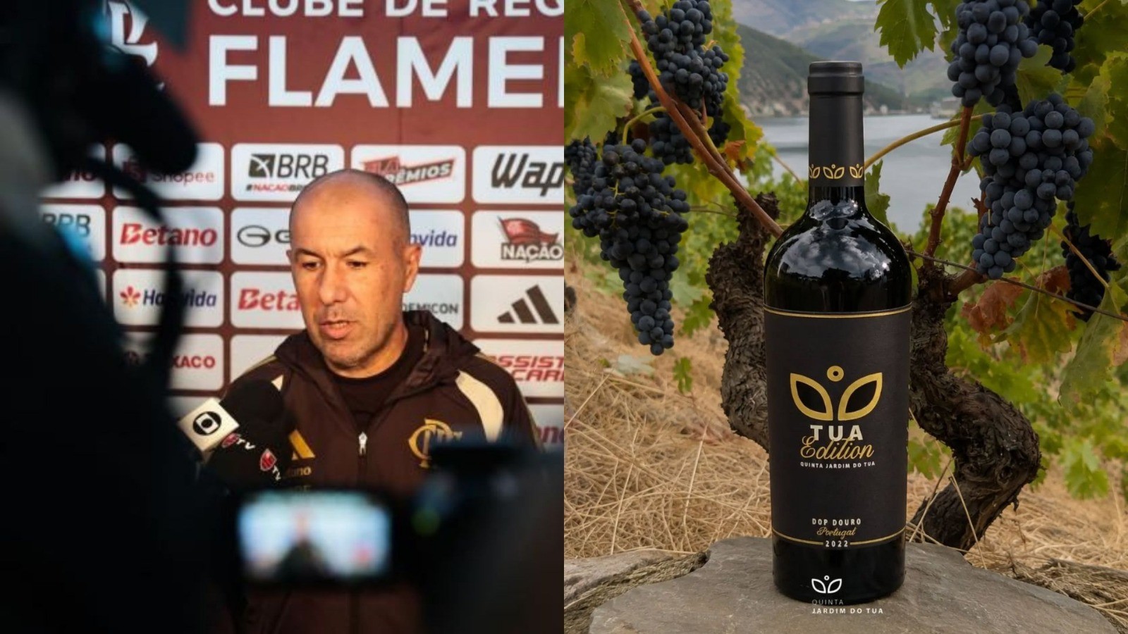 Você sabia? Técnico do Flamengo produz vinhos e tem azeite premiado internacionalmente