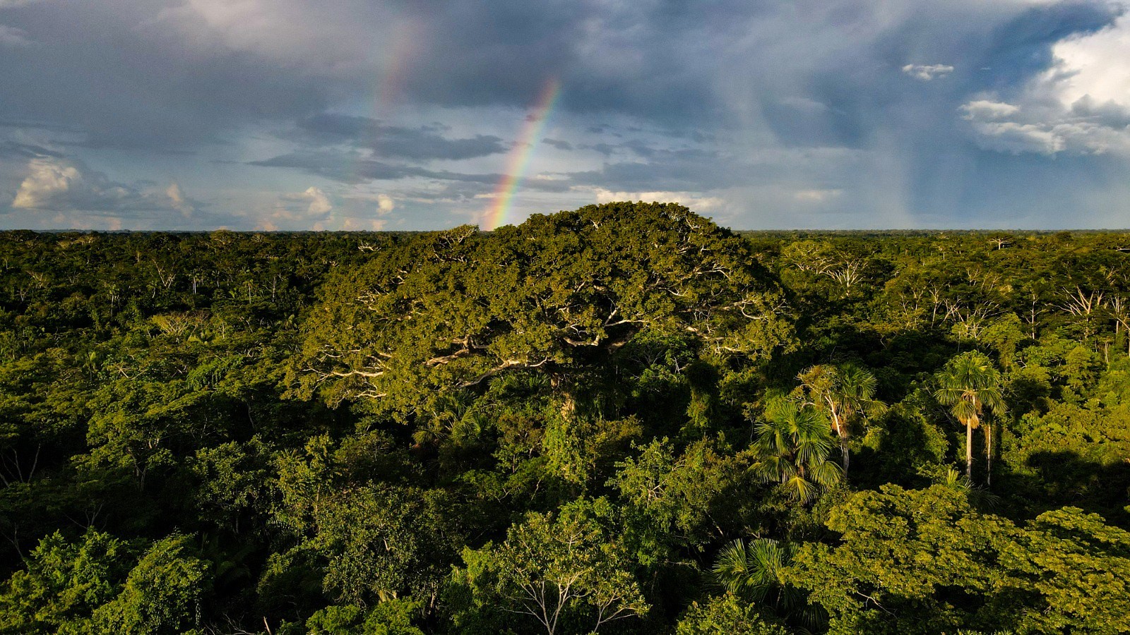 Chuva dá trégua e semana começa sem alertas climáticos no país