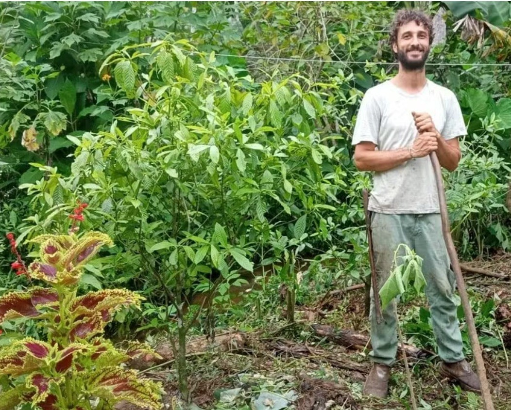Cacau longe do calor da Bahia? Mata Atlântica ajuda o Paraná a investir no cultivo