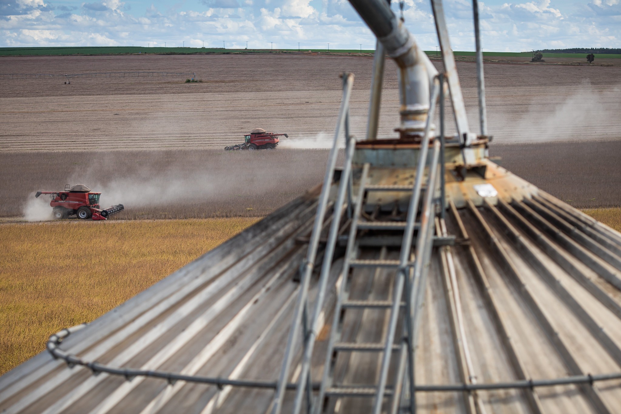 Estudo relaciona déficit de armazéns com a inflação