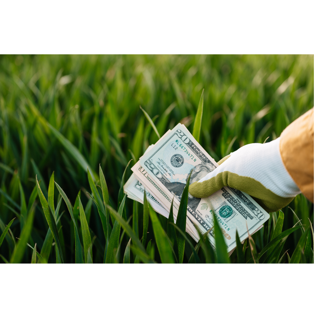 LCA, CRA, Fiagro, as novas rotas do crédito rural