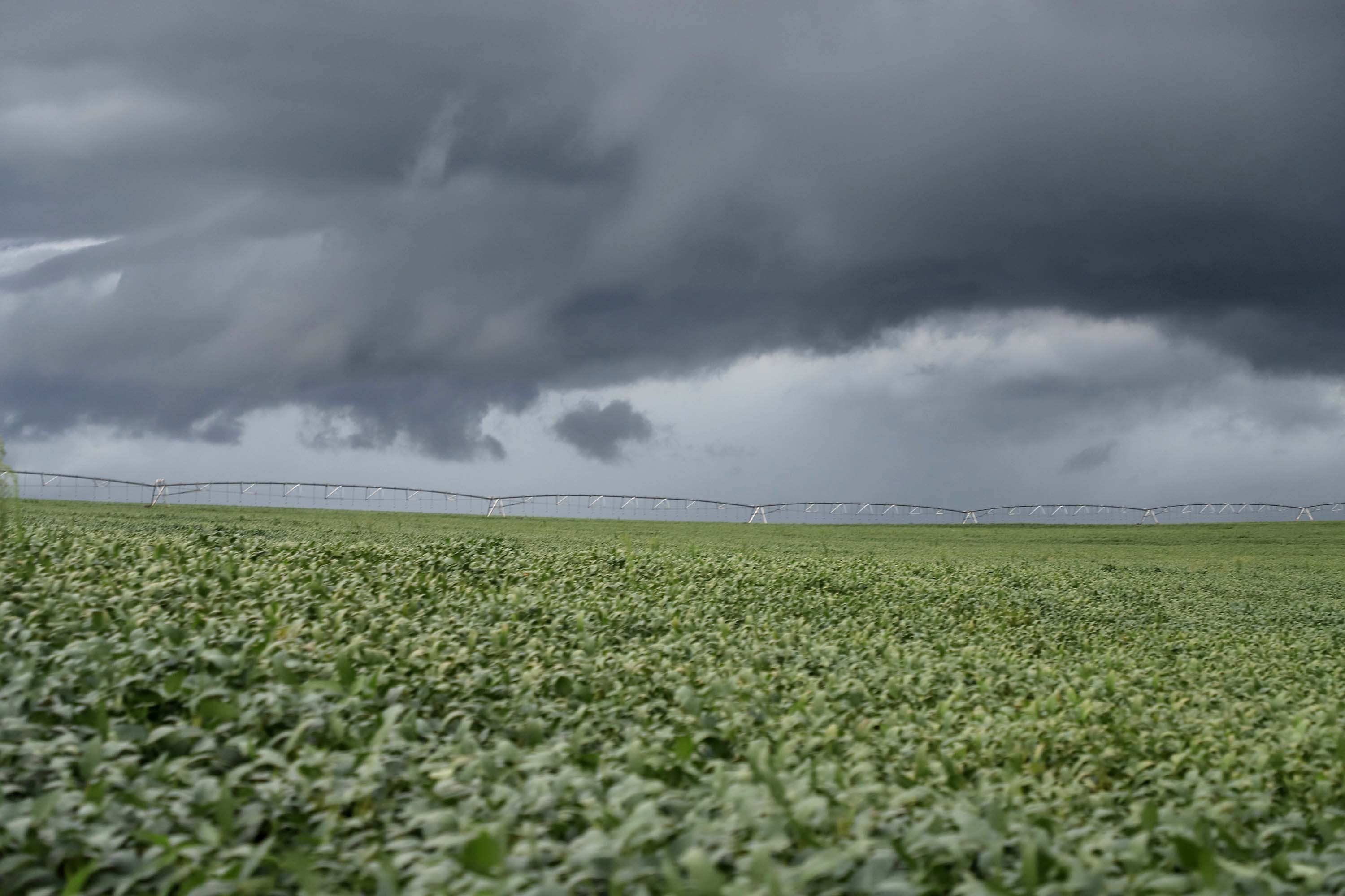 Feriado terá muita chuva no Sudeste e Centro-Oeste; veja a previsão completa