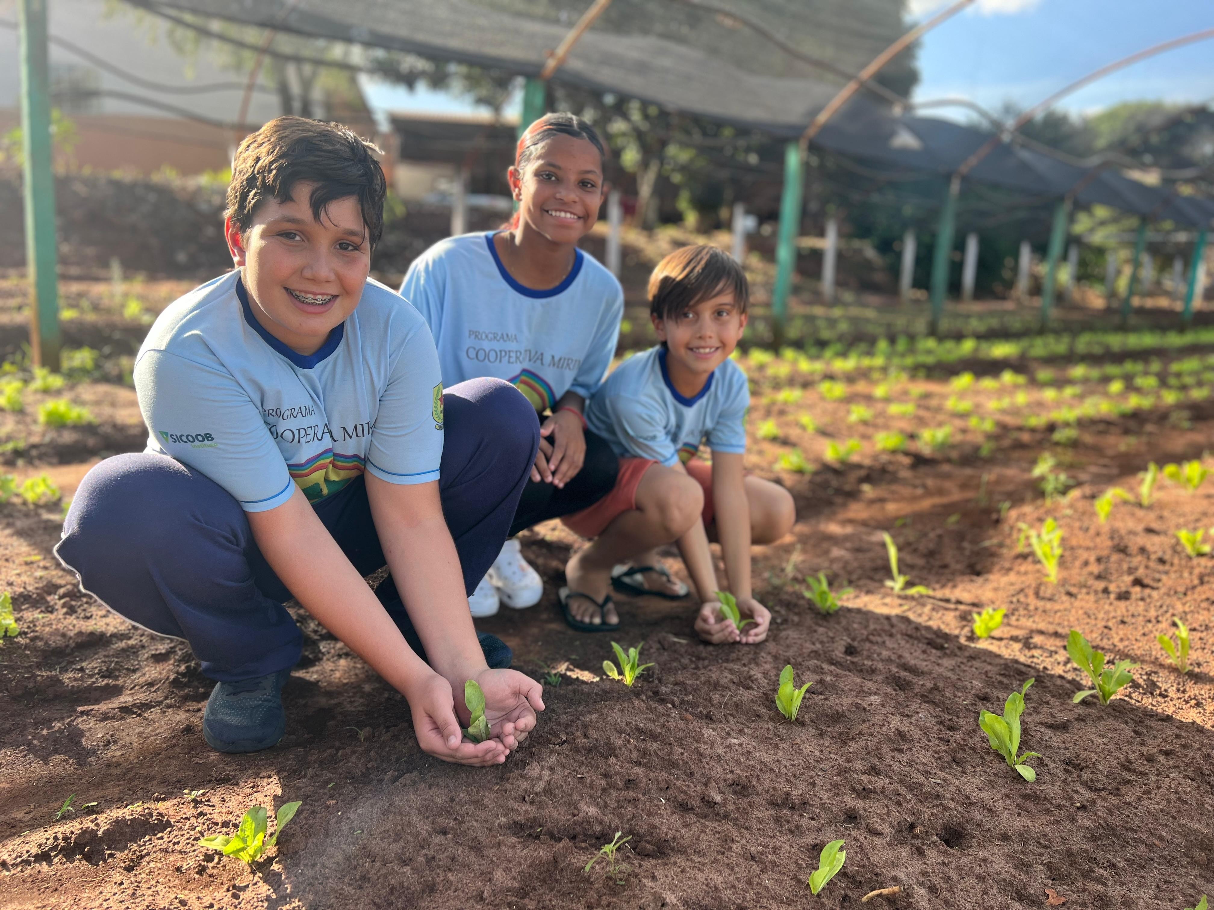 Cooperativa mirim promove empreendedorismo para crianças e adolescentes