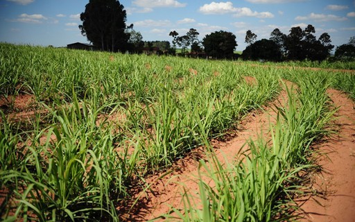Seguro rural fica de fora de debate sobre El Niño