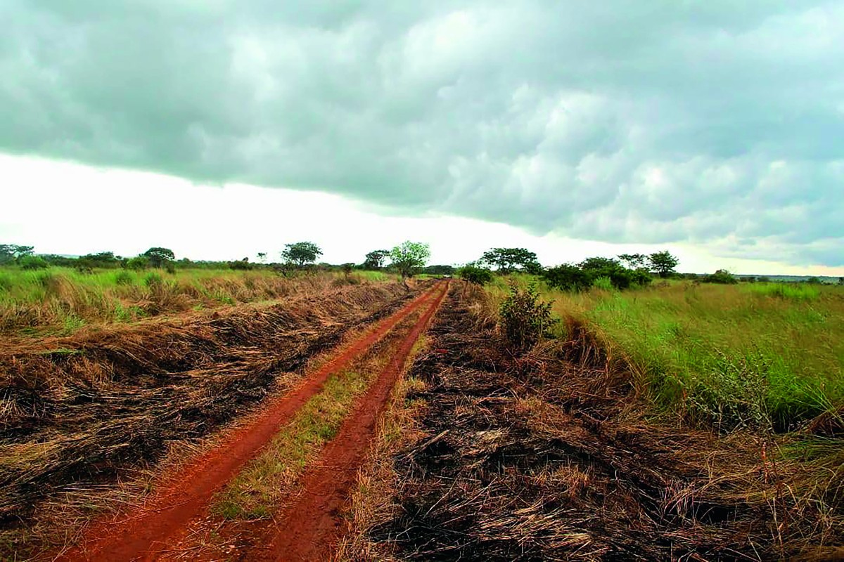 O que atrai produtores rurais brasileiros para Angola