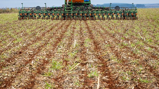 Semeadura de soja no Paraná chega a 20% da área