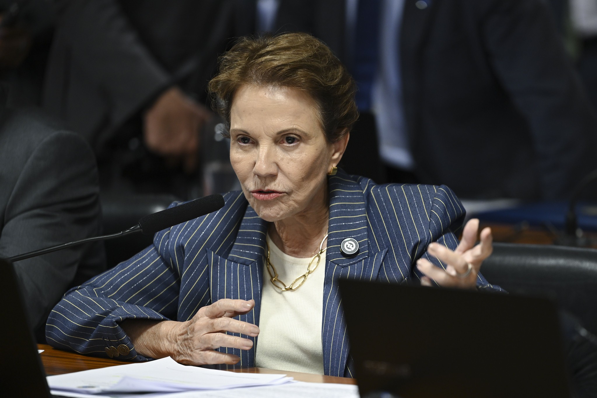 Senadores pedem que renegociação de dívidas rurais saia antes do Plano Safra