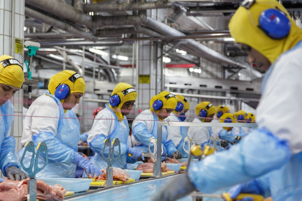 Melhor aproveitamento dos produtos permitiu à BRF ter mais volume para exportação — Foto: BRF/Divulgação