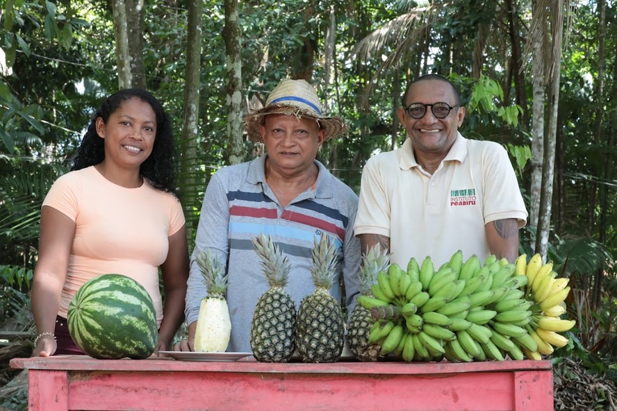Globo Rural  Coleta de murumuru transforma a vida de agricultores