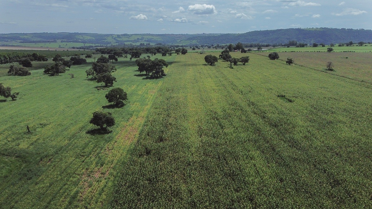 Número de propriedades com produção orgânica cresceu 150% em 12 anos no Brasil