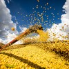 Efeito positivo da agropecuária se espalha por toda a economia - Wenderson Araujo/CNA