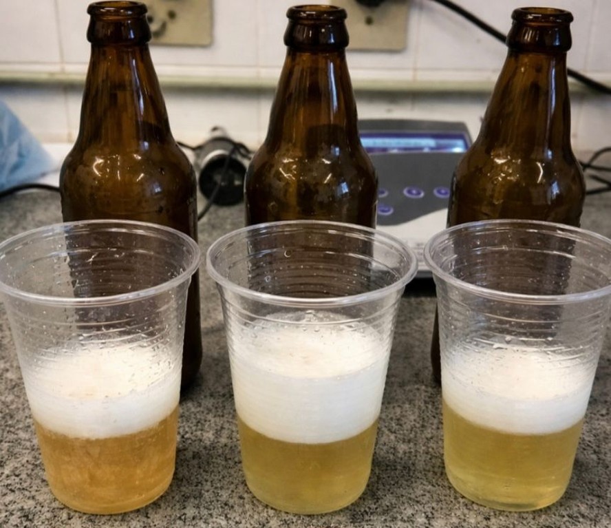 A bebida lembra um espumante, de baixo teor alcoólico, levemente ácida, com aroma de caju