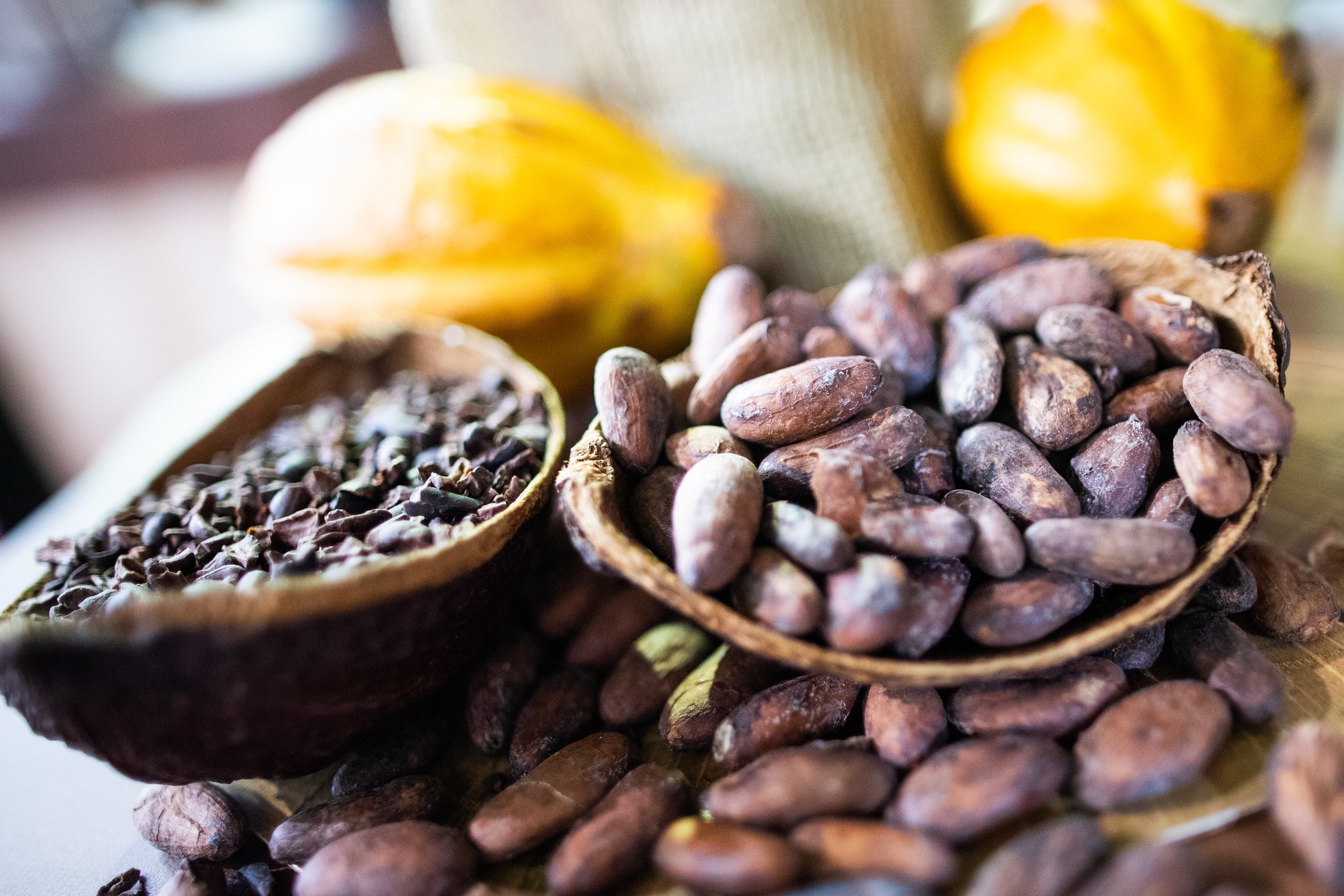 Cacau ensaia quarta alta seguida na bolsa de Nova York