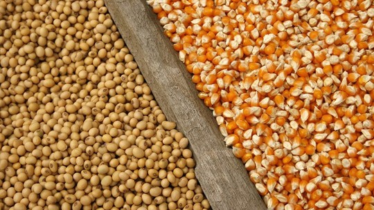 Condições das safras nos EUA e na Argentina direcionam preços de grãos em Chicago