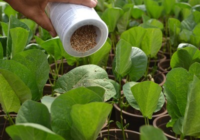 Fundo da Angra Partners compra fatia da Promip, de biodefensivos