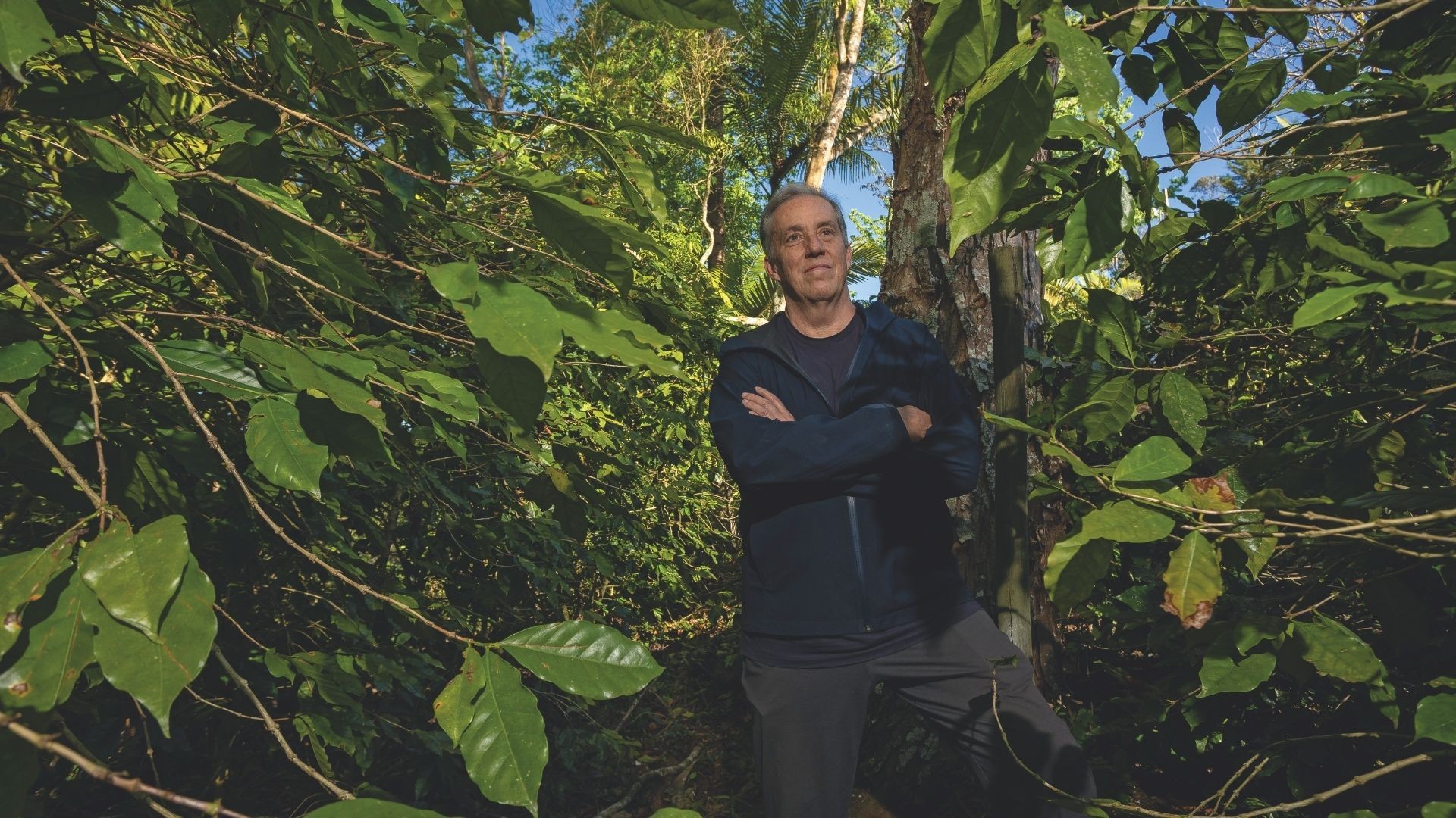Conheça a Fazenda Camocim, que produz o café mais caro do Brasil