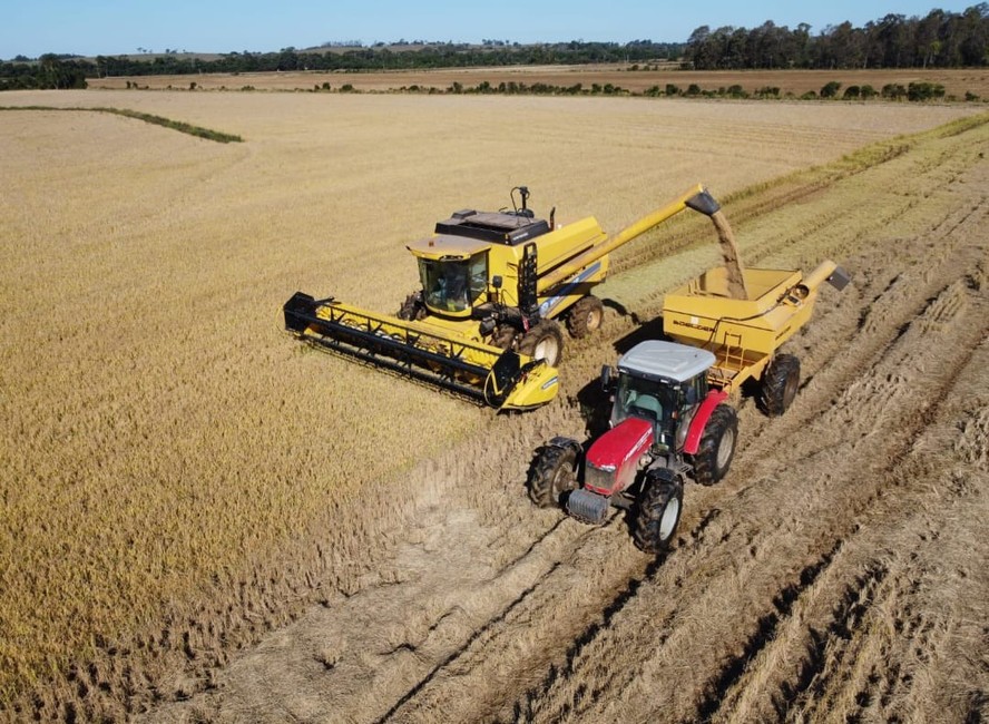 Colheita de arroz no Rio Grande do Sul: meta do governo para o próximo Plano Safra é superar os R$ 516 bilhões em crédito do ciclo atual