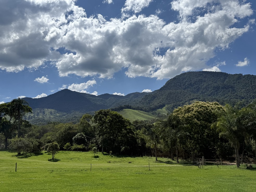 A Fazenda Sertãozinho conserva 350 hectares dos 500 que formam a propriedade — Foto: Divulgação