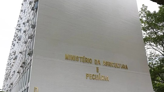 Ministério da Agricultura confirma mais dois casos de gripe aviária no Brasil