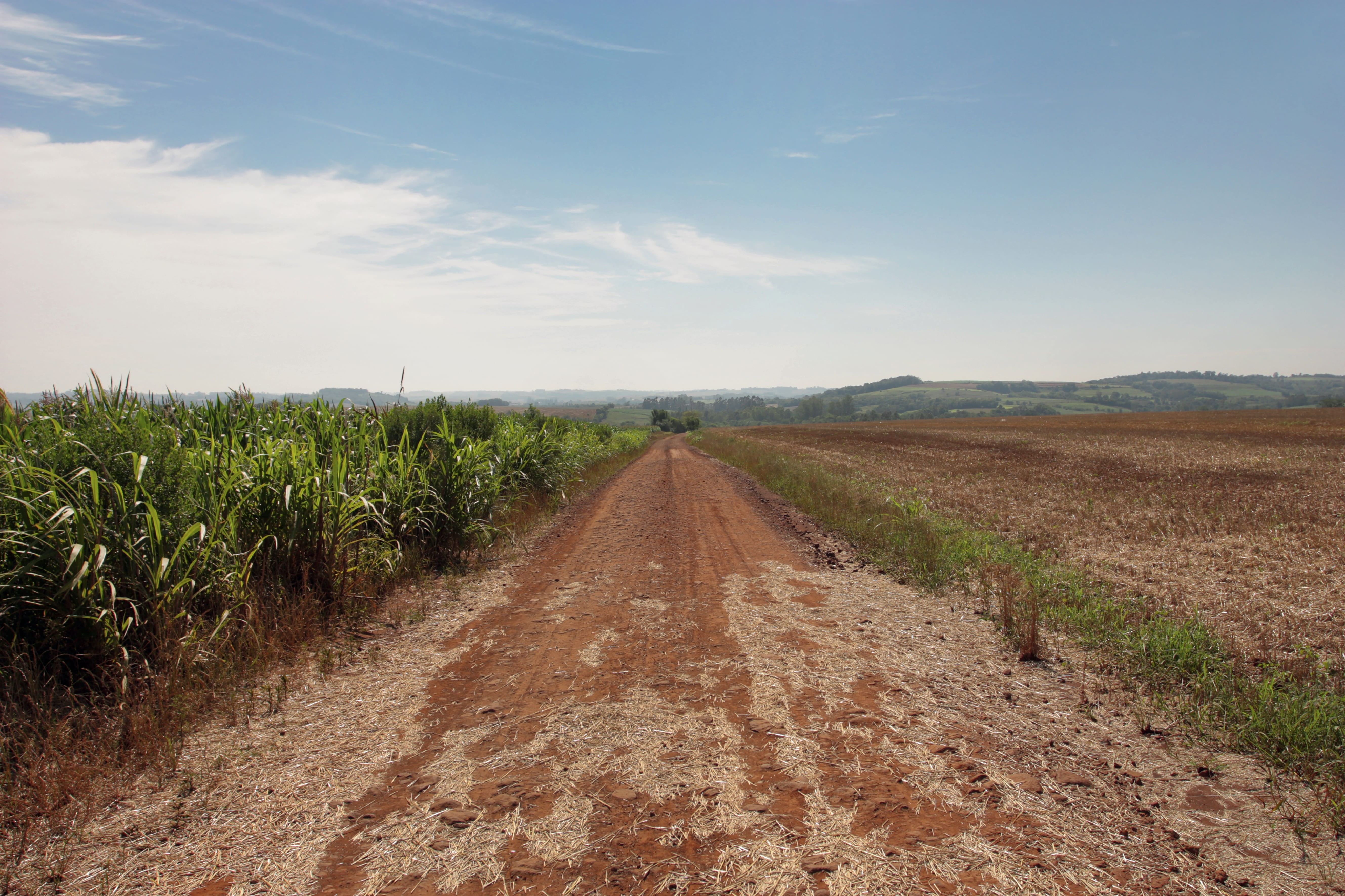 Agricultor ajusta planejamento para encarar El Niño mais forte da história