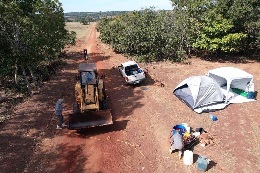 Caso de gripe aviária em aves de subsistência é confirmado em Cuiabá