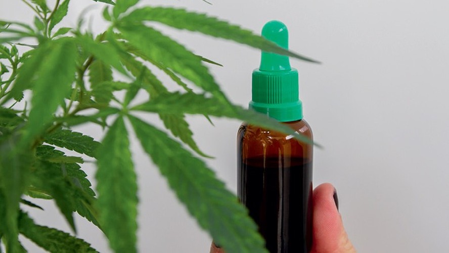 Medicamentos à base de cannabis devem movimentar R$ 699 milhões neste ano no Brasil
