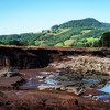 Os R$ 210,8 milhões serão destinados à subvenção ao prêmio de produtores rurais gaúchos na área atingida pelas enchentes e inundações em abril e maio deste ano - Marcelo Curia / Globo Rural