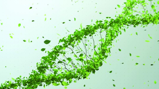 Edição genética vira alternativa para  controle biológico de pragas e doenças