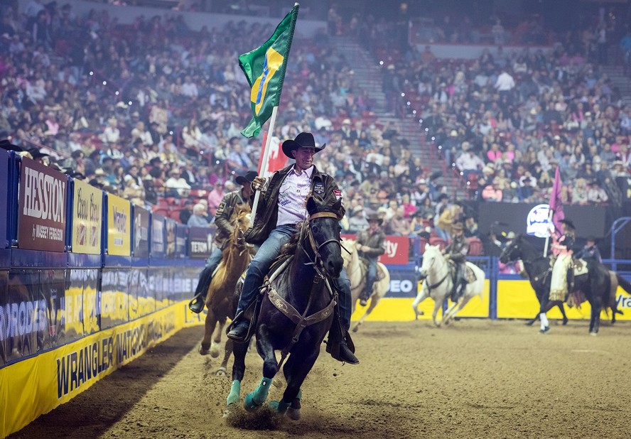 Massai: o capim que pode matar cavalos - Team Roping Brasil