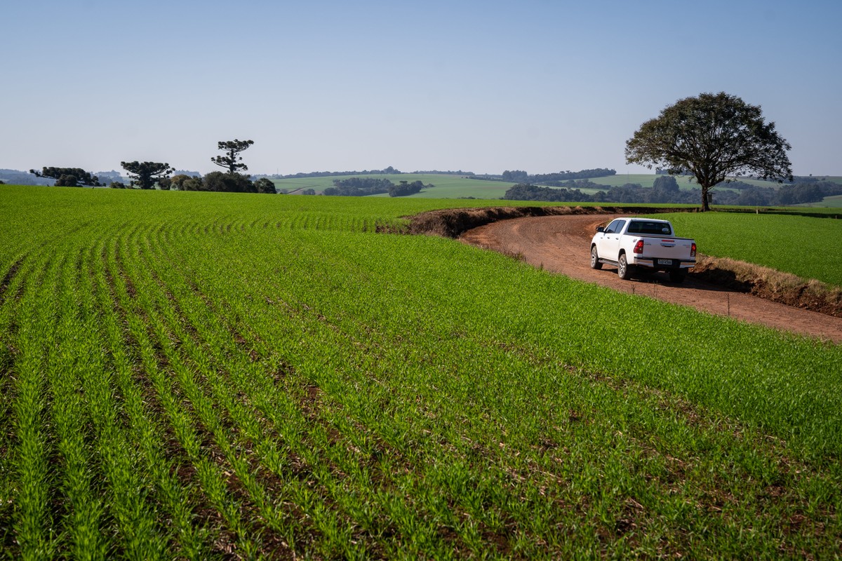 Área plantada de inverno no RS deve cair mais de 10% nesta safra