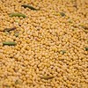 USDA elevou a estimativa de produção global de soja para 427,68 milhões de toneladas - Wenderson Araujo/CNA