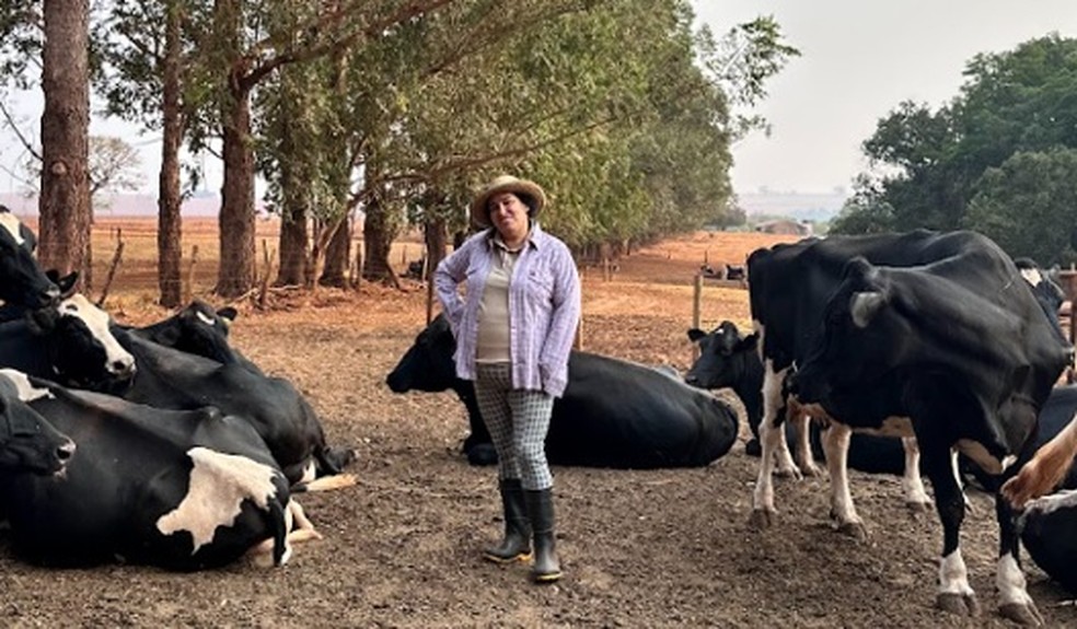 Maria Lúcia Bessa, da Fazenda São Tomaz, em Rio Verde (GO) — Foto: Arquivo pessoal