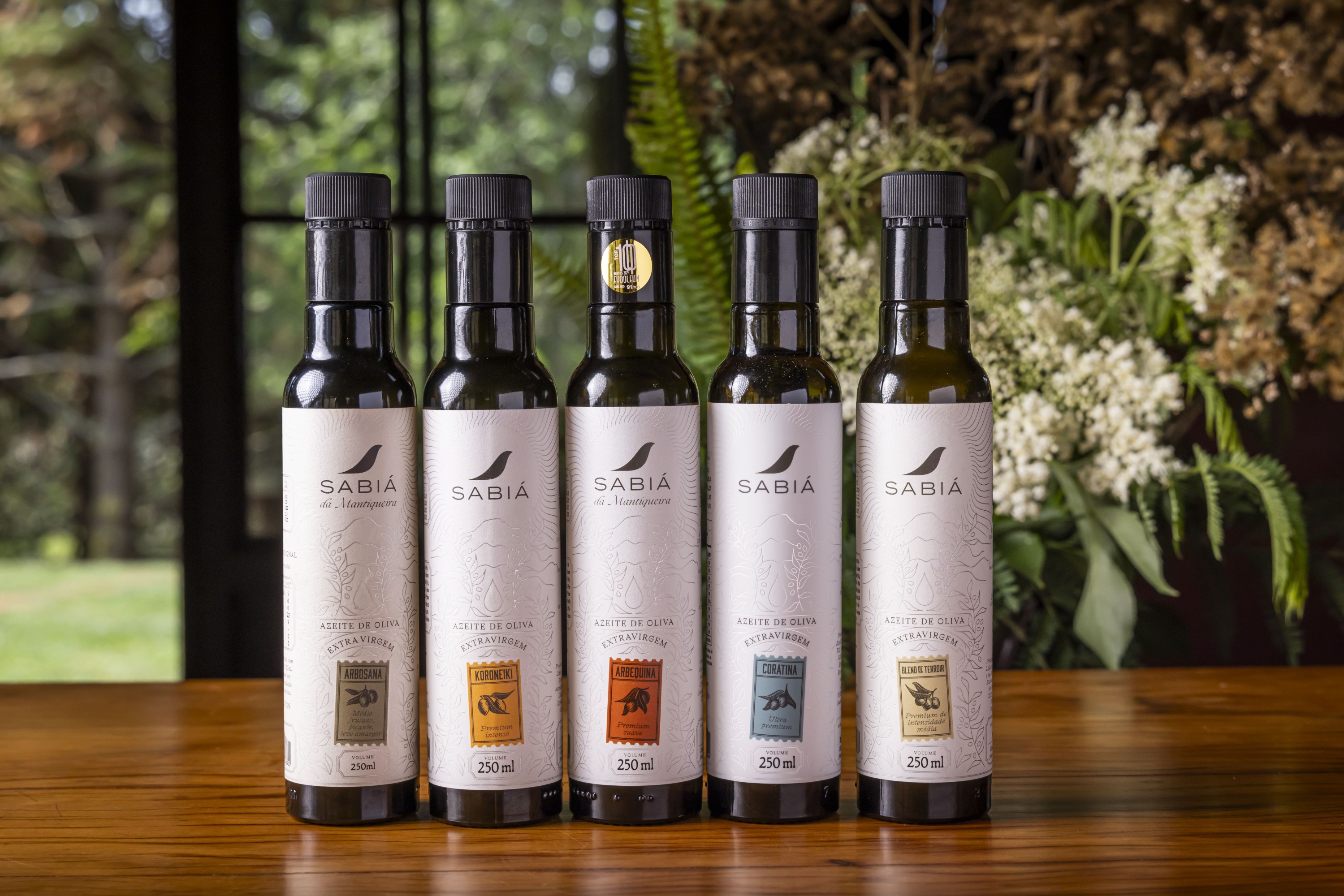 Azeite brasileiro fica entre os melhores em concurso realizado em Portugal