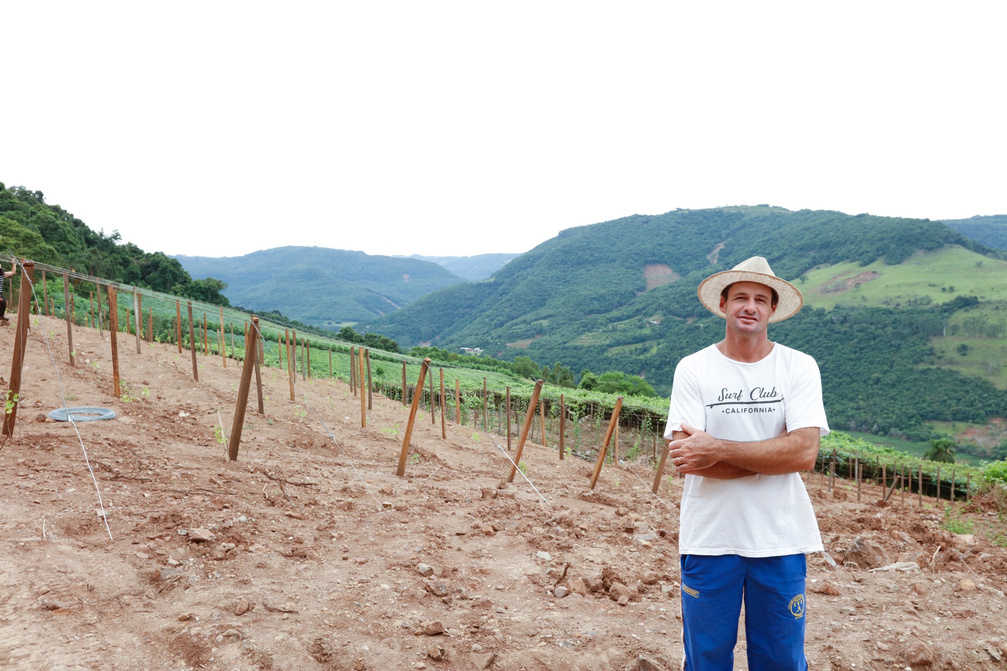 Na Serra Gaúcha, produtores rurais começam a reconstruir seus vinhedos